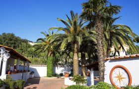Forio di Ischia-1