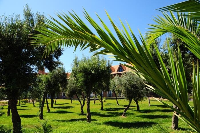 Corte dei Greci Resort & SPA (blu) - Spazi esterni